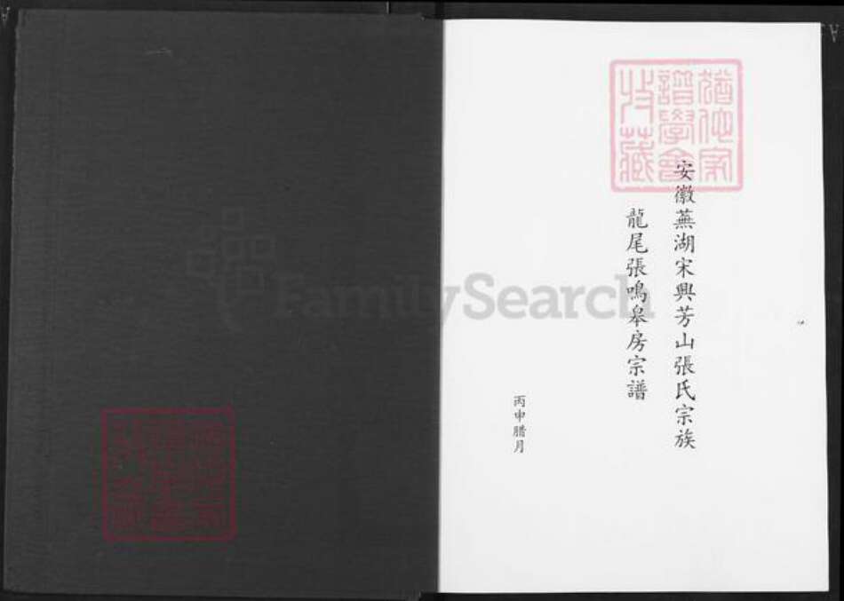 安徽省芜湖市芜湖县湾沚镇张氏族谱-安徽芜湖宋兴芳山张氏宗族龙尾张鸣皋房宗谱.pdf电子版预览图1
