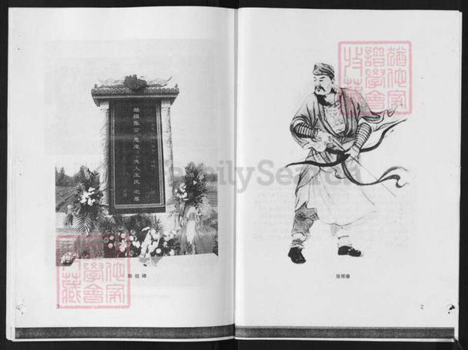 山东省淄博市张店区傅家镇张氏族谱-唐家庄张氏族谱.pdf电子版预览图2