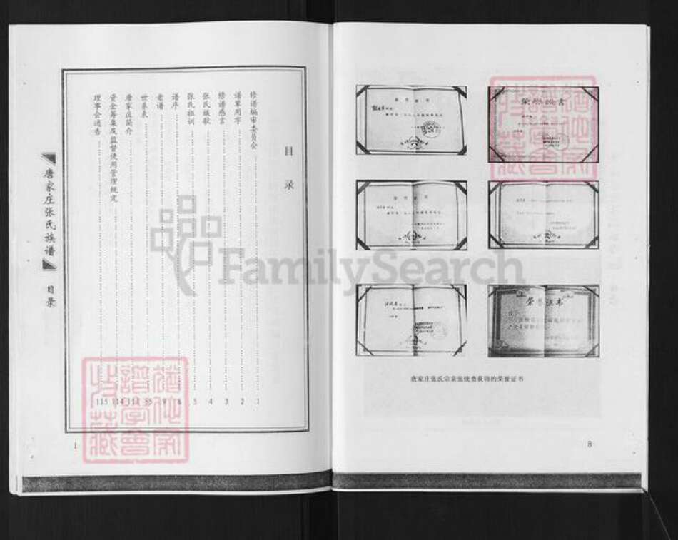山东省淄博市张店区傅家镇张氏族谱-唐家庄张氏族谱.pdf电子版预览图5
