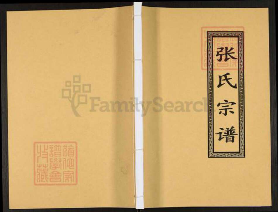 四川省成都市简阳市禾丰镇张氏孝友堂族谱-张氏宗谱.pdf电子版缩略图