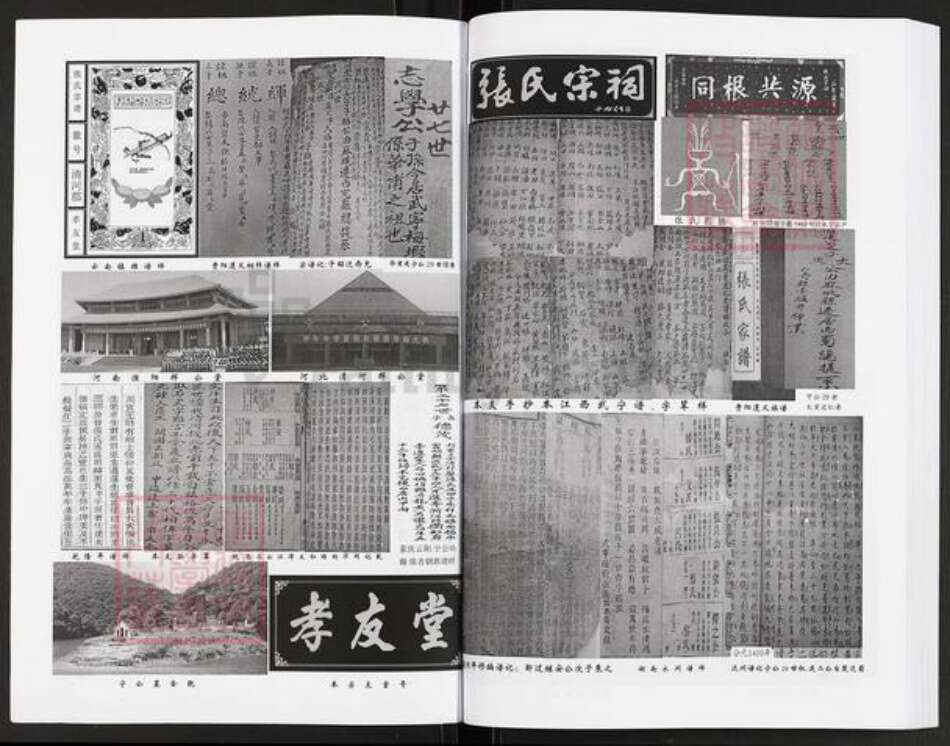 四川省成都市简阳市禾丰镇张氏孝友堂族谱-张氏宗谱.pdf电子版预览图4