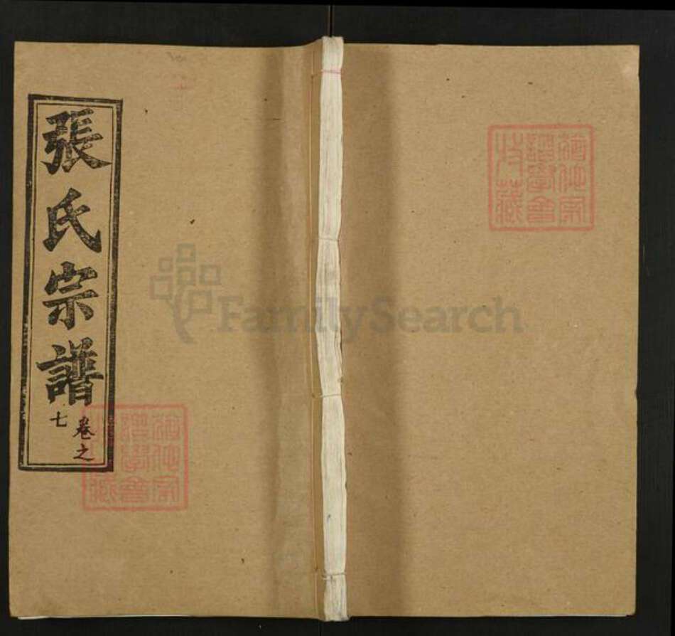 湖北省武汉市新洲区张氏守铭堂族谱-张氏宗谱.pdf电子版缩略图