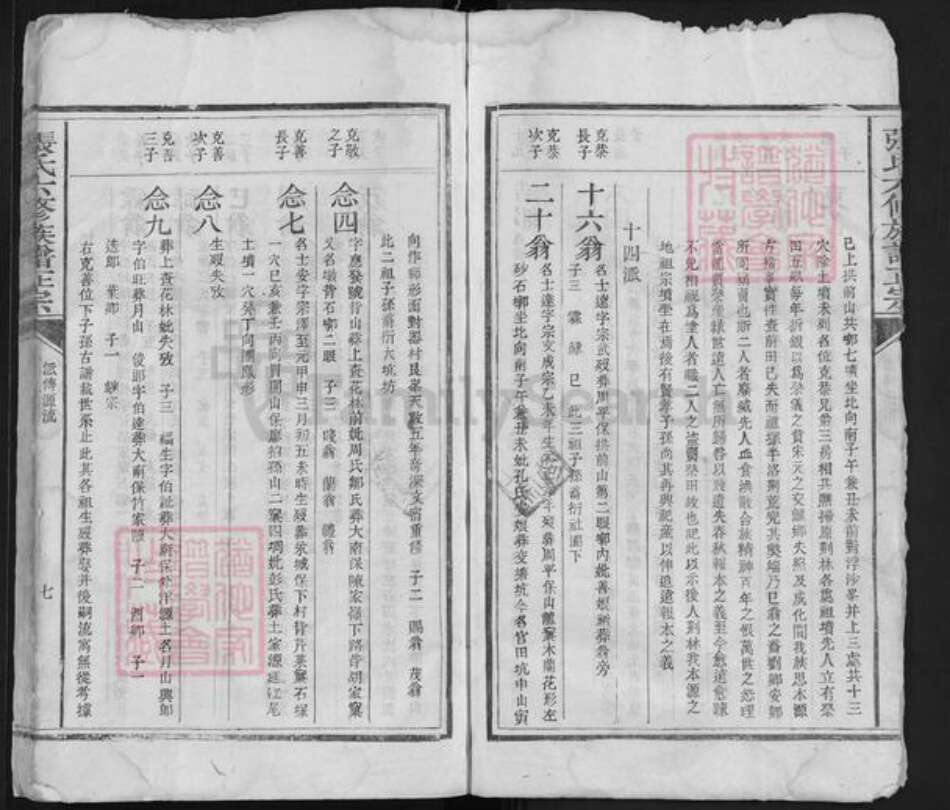 福建省江西省赣州市宁都县张氏族谱-张氏六修族谱正宗 [残卷].pdf电子版预览图5