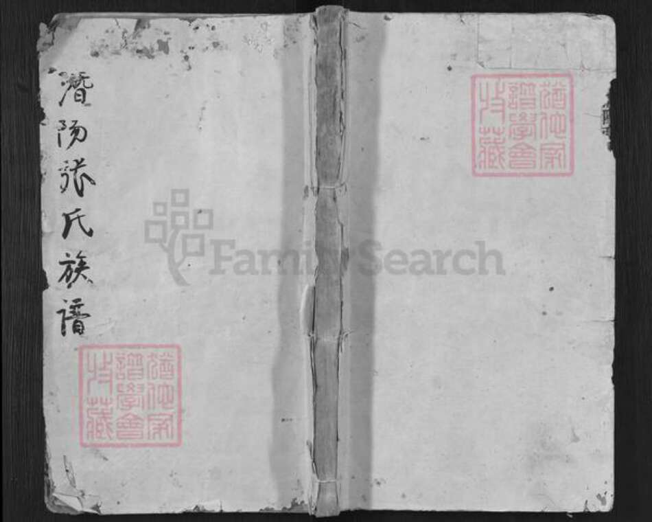 安徽省安庆市潜山市张氏百忍堂族谱-潜阳张氏族谱.pdf电子版缩略图