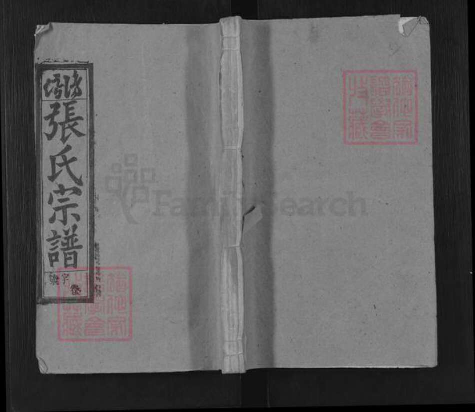 安徽省安庆市潜山市张氏承善堂族谱-张氏族谱.pdf电子版缩略图