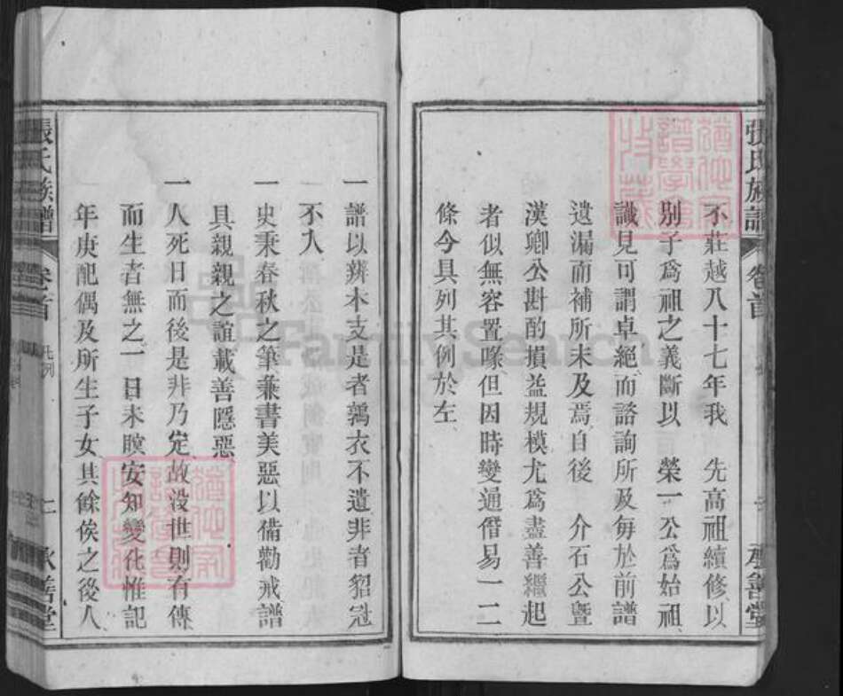 安徽省安庆市潜山市张氏承善堂族谱-张氏族谱.pdf电子版预览图5