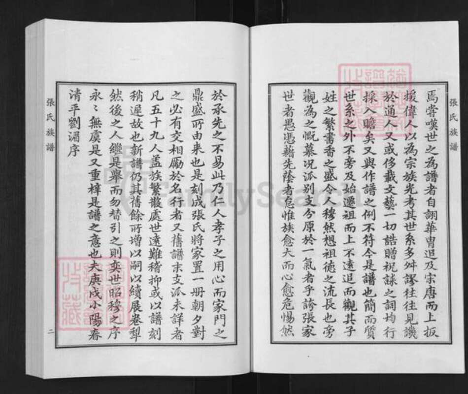 山东省德州市平原县前曹镇张氏族谱-张氏族谱.pdf电子版预览图4