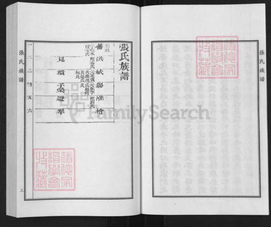 山东省德州市平原县前曹镇张氏族谱-张氏族谱.pdf电子版预览图5