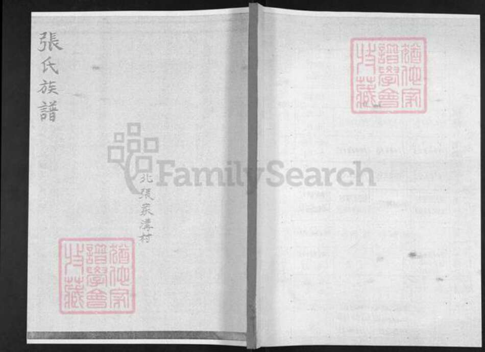 山东省烟台市栖霞市松山街道张氏族谱-张氏族谱.pdf电子版缩略图