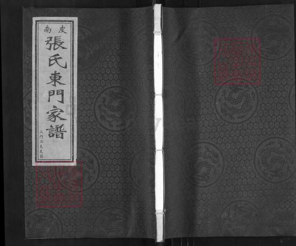 河北省沧州南皮县潞灌乡张氏族谱-南皮张氏东门家谱.三门二支支谱.pdf电子版缩略图