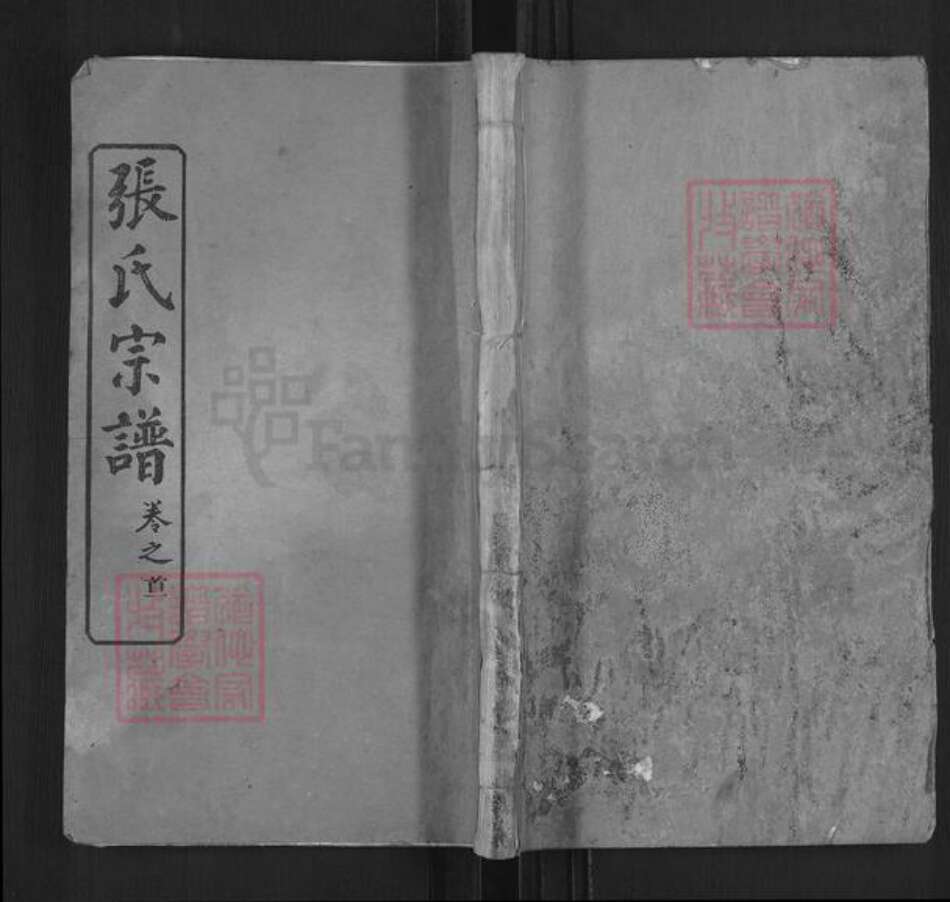 湖北省黄冈市麻城市张氏两铭堂族谱-张氏宗谱.pdf电子版缩略图