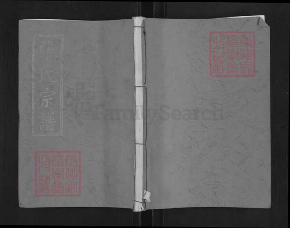 湖北省武汉市黄陂区张氏余庆堂族谱-张氏宗谱.pdf电子版缩略图