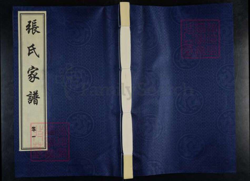 山东省德州市平原县腰站镇张氏族谱-张氏家谱.pdf电子版缩略图