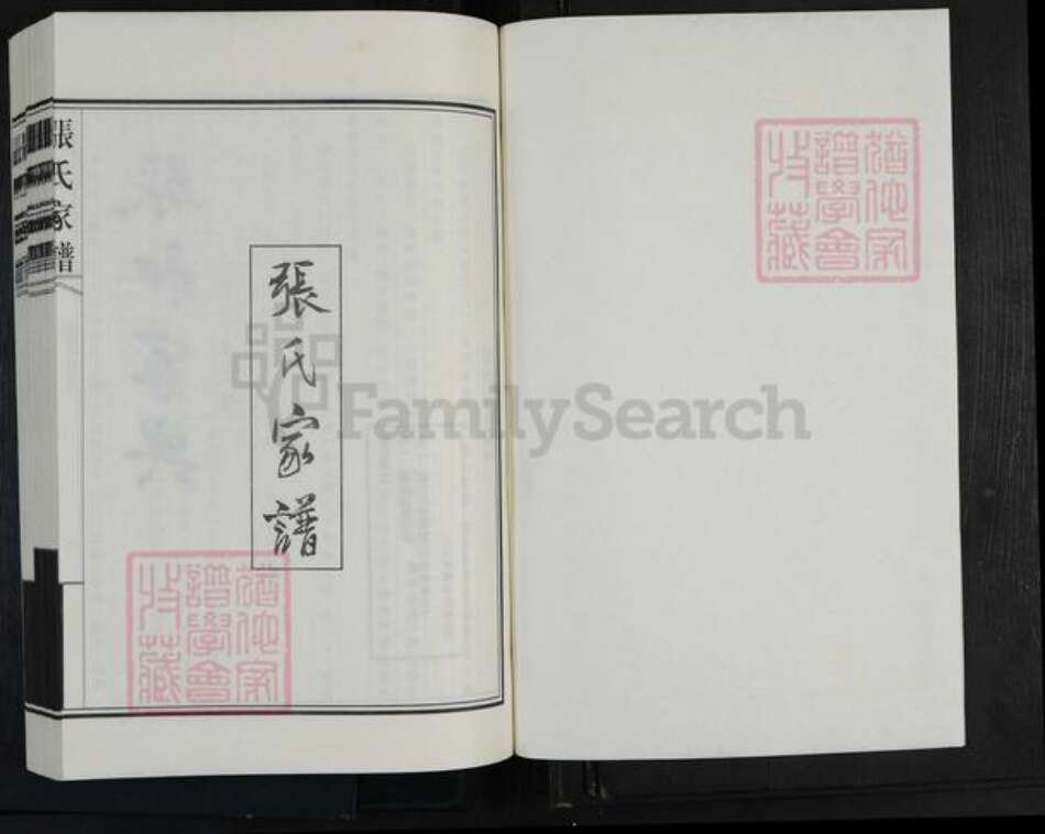 山东省德州市平原县腰站镇张氏族谱-张氏家谱.pdf电子版预览图1