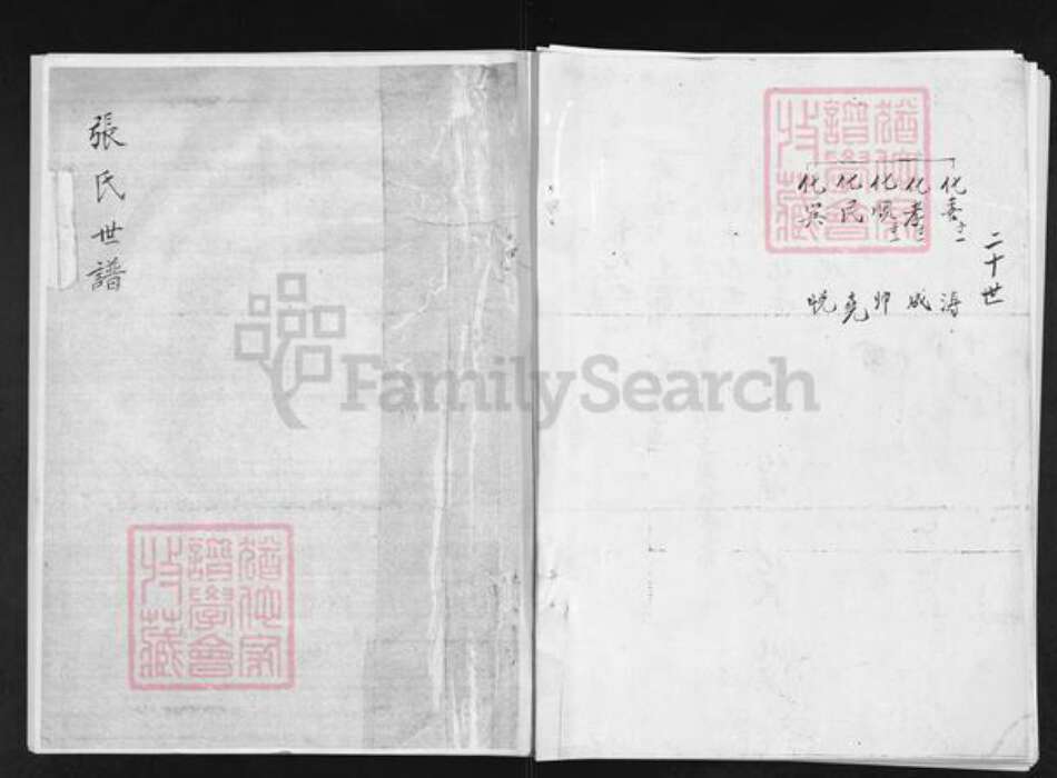 山东省淄博市沂源县张氏族谱-张氏世谱.pdf电子版缩略图