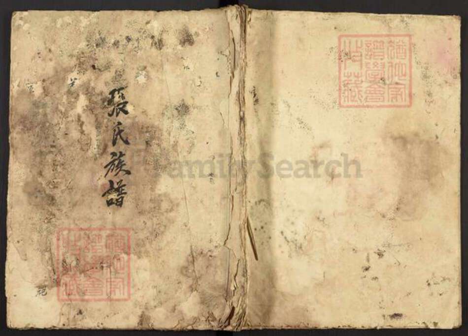 福建省龙岩市上杭县白砂镇张氏族谱-张氏族谱.pdf电子版缩略图