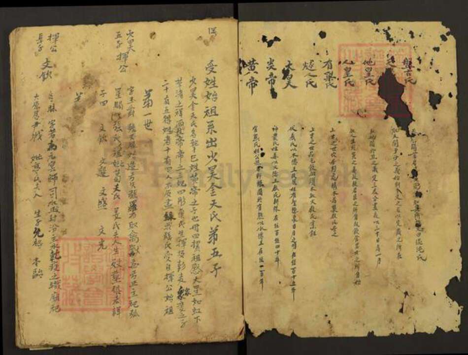 福建省龙岩市上杭县白砂镇张氏族谱-张氏族谱.pdf电子版预览图1