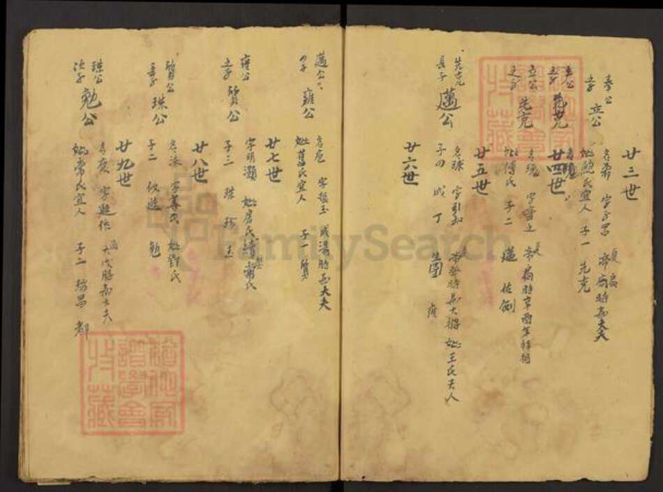 福建省龙岩市上杭县白砂镇张氏族谱-张氏族谱.pdf电子版预览图5