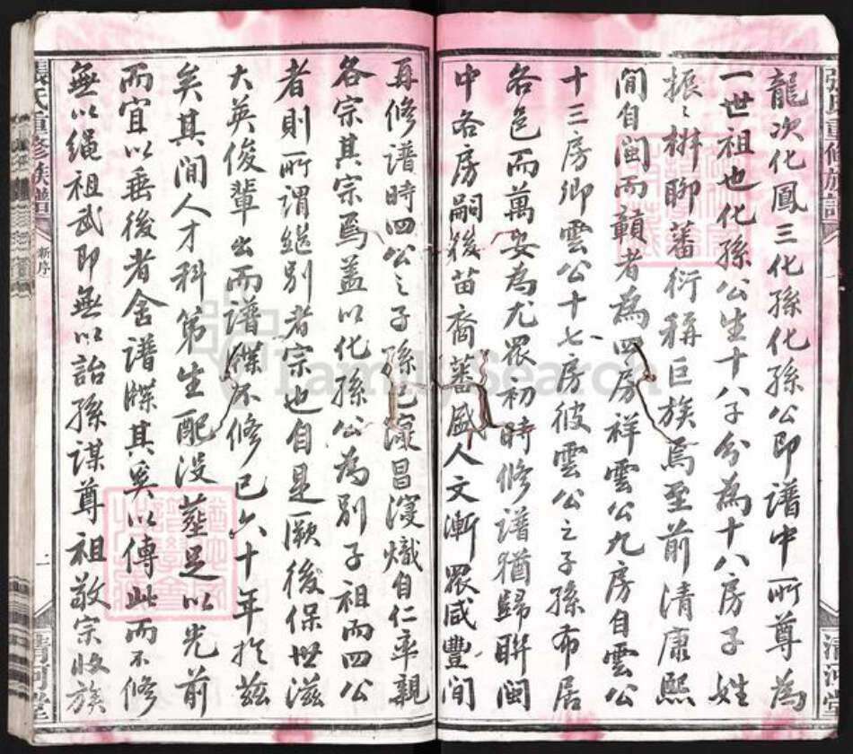 福建省龙岩市上杭县白砂镇张氏清河堂族谱-张氏重修族谱.pdf电子版预览图3