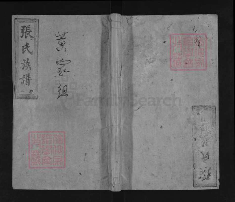 湖南省郴州市桂东县大塘镇张氏金鉴堂族谱-桂东张氏族谱.pdf电子版缩略图