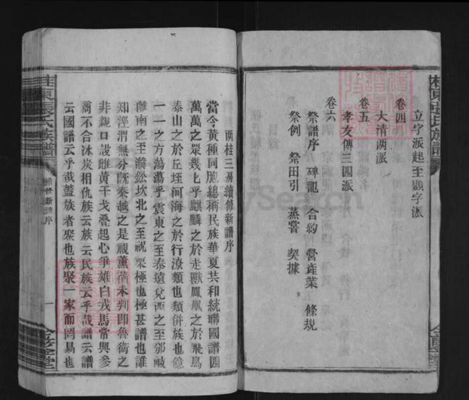 湖南省郴州市桂东县大塘镇张氏金鉴堂族谱-桂东张氏族谱.pdf电子版预览图2