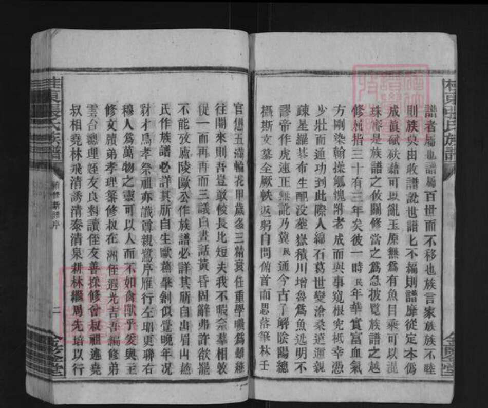 湖南省郴州市桂东县大塘镇张氏金鉴堂族谱-桂东张氏族谱.pdf电子版预览图3