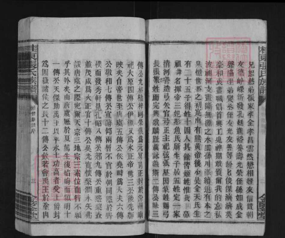 湖南省郴州市桂东县大塘镇张氏金鉴堂族谱-桂东张氏族谱.pdf电子版预览图4