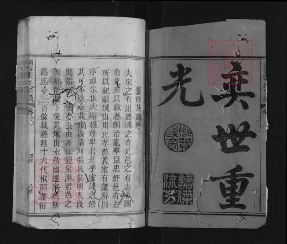 福建省南平市浦城县永兴镇张氏族谱-浦西张氏宗谱.pdf电子版预览图1