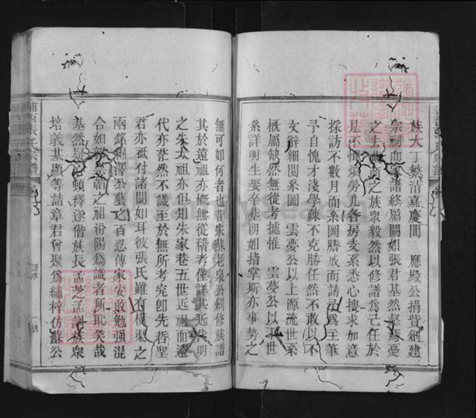 福建省南平市浦城县永兴镇张氏族谱-浦西张氏宗谱.pdf电子版预览图2