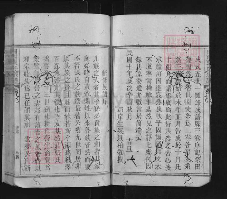 福建省南平市浦城县永兴镇张氏族谱-浦西张氏宗谱.pdf电子版预览图3