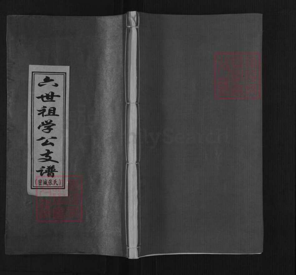 河南省郑州市新密市张氏族谱-六世祖学公支谱.密城张氏.pdf电子版缩略图