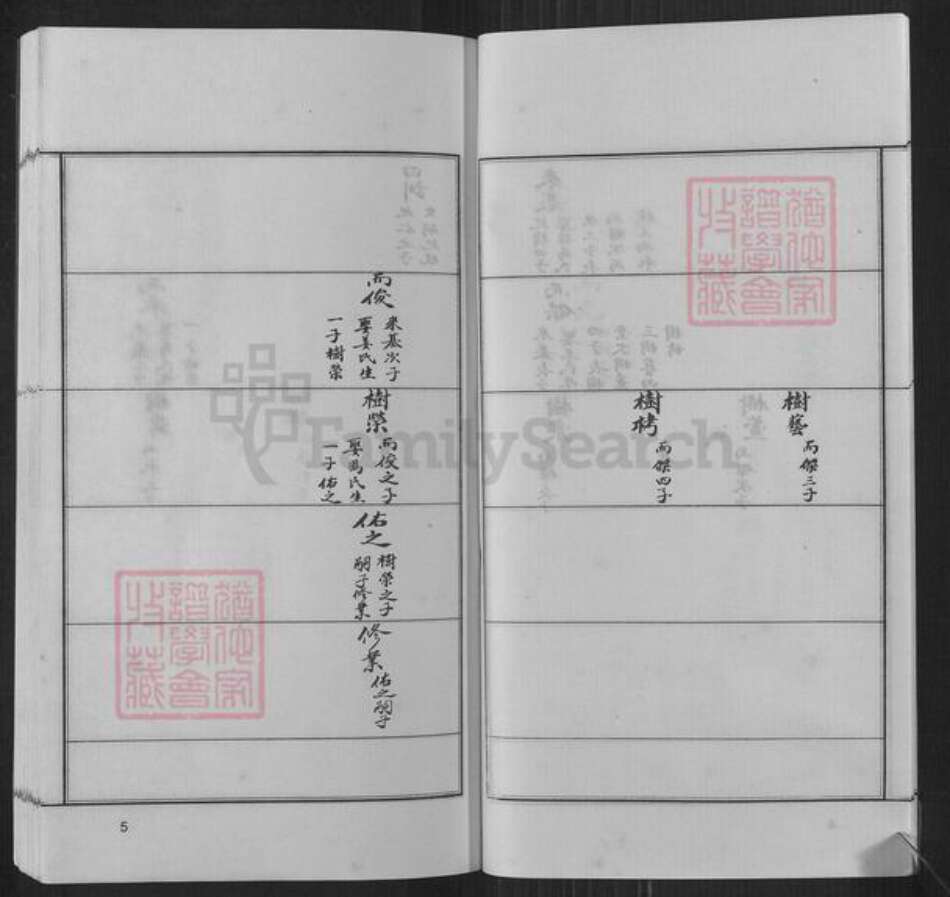 河南省郑州市新密市张氏族谱-六世祖学公支谱.密城张氏.pdf电子版预览图4