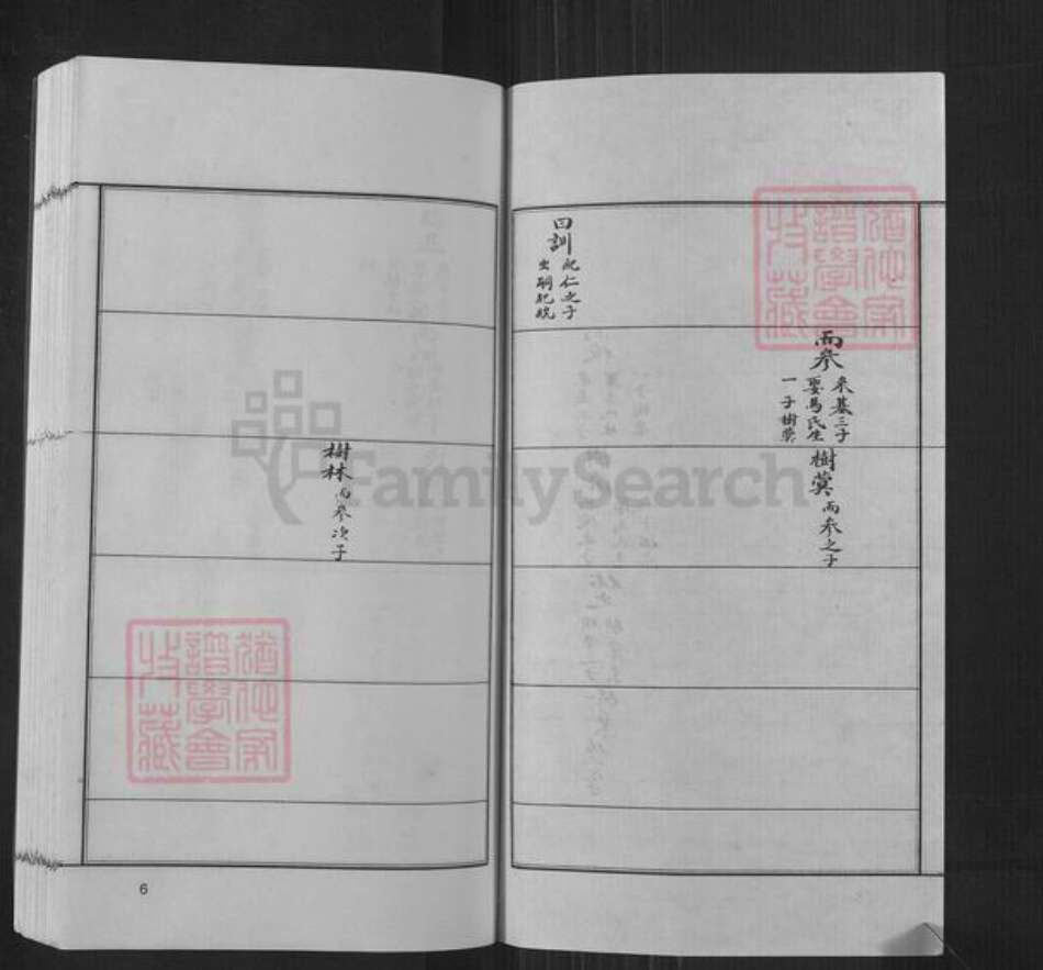 河南省郑州市新密市张氏族谱-六世祖学公支谱.密城张氏.pdf电子版预览图5