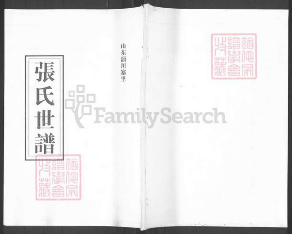 山东省淄博市淄川区张氏族谱-张氏世谱.pdf电子版缩略图