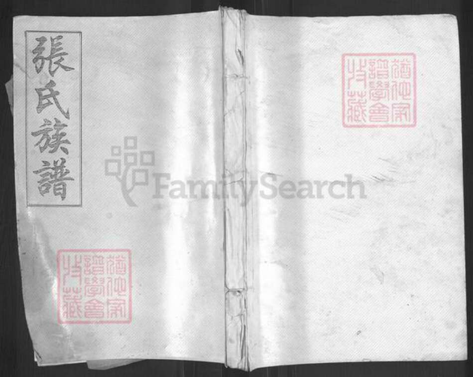 山东省枣庄市滕州市张氏族谱-张氏族谱.pdf电子版缩略图