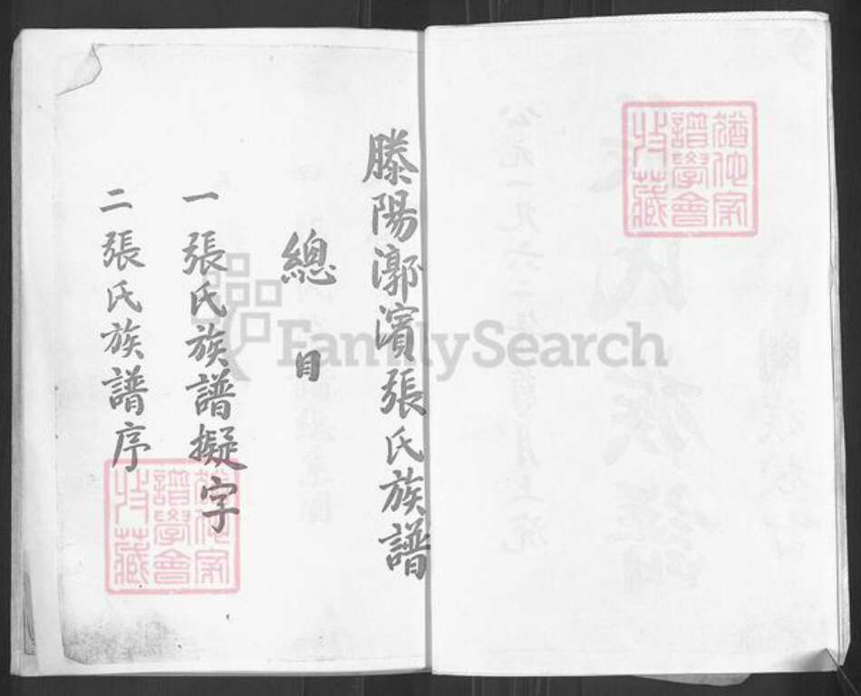 山东省枣庄市滕州市张氏族谱-张氏族谱.pdf电子版预览图2