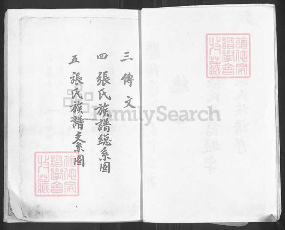 山东省枣庄市滕州市张氏族谱-张氏族谱.pdf电子版预览图3