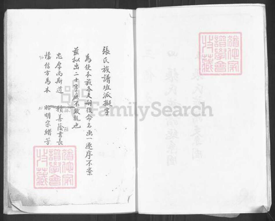 山东省枣庄市滕州市张氏族谱-张氏族谱.pdf电子版预览图4