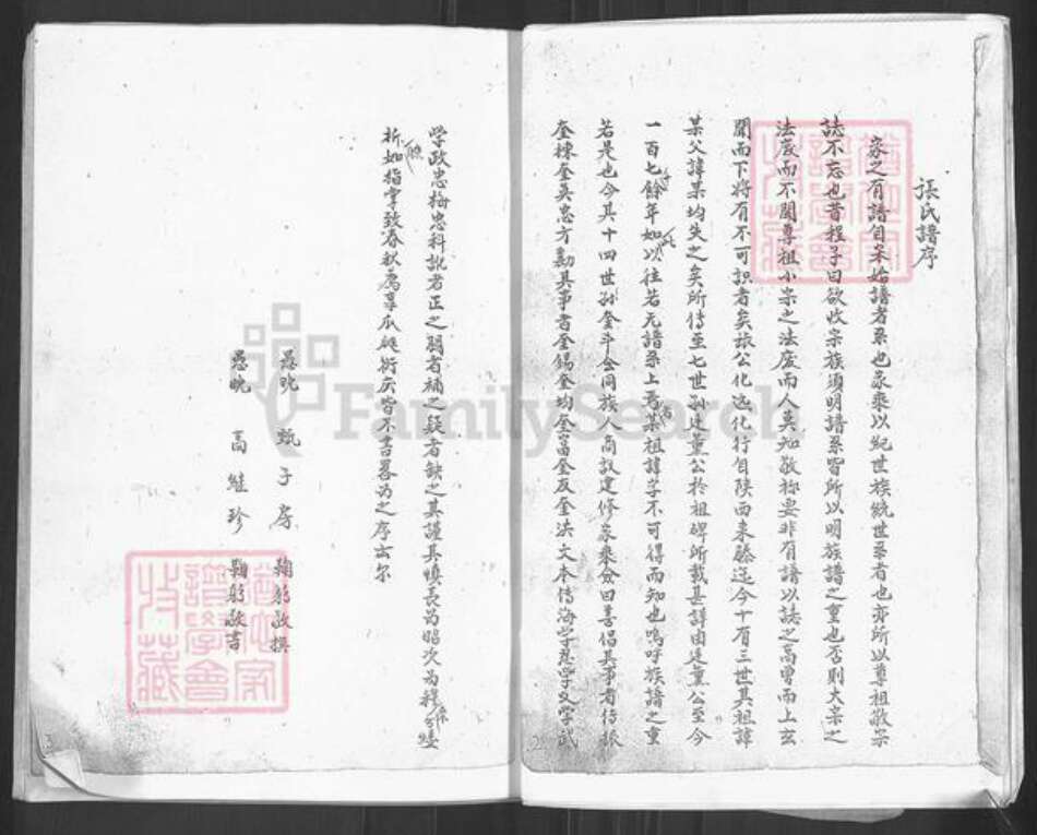 山东省枣庄市滕州市张氏族谱-张氏族谱.pdf电子版预览图5