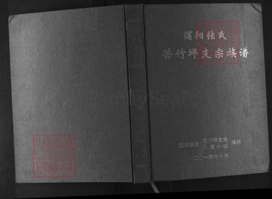 湖南省常德市石门县太平镇张氏清河堂族谱-浦阳张氏.苦竹坪支宗族谱.pdf电子版缩略图