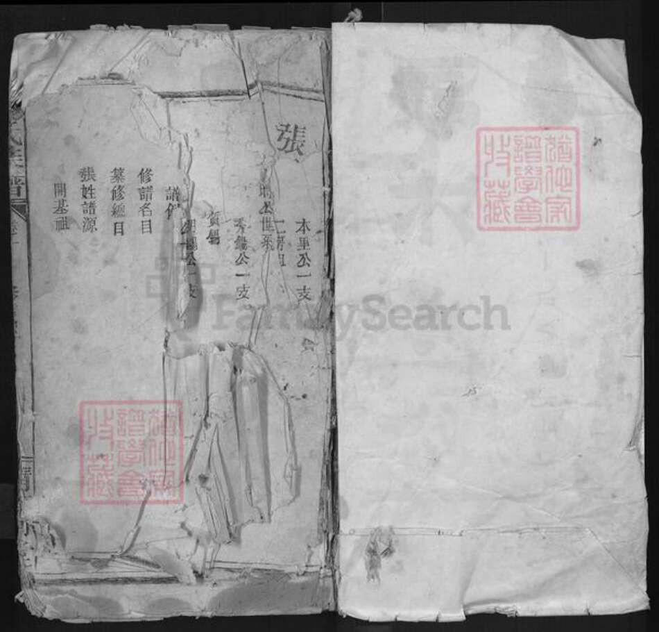 湖北省孝感市汉川市张氏清河堂族谱-张氏族谱.pdf电子版预览图1