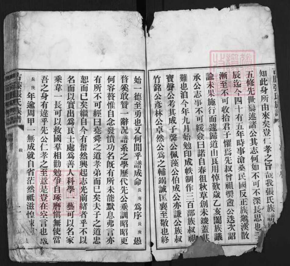 山东省枣庄市滕州市洪绪镇张氏族谱-古藤张氏族谱.pdf电子版预览图2