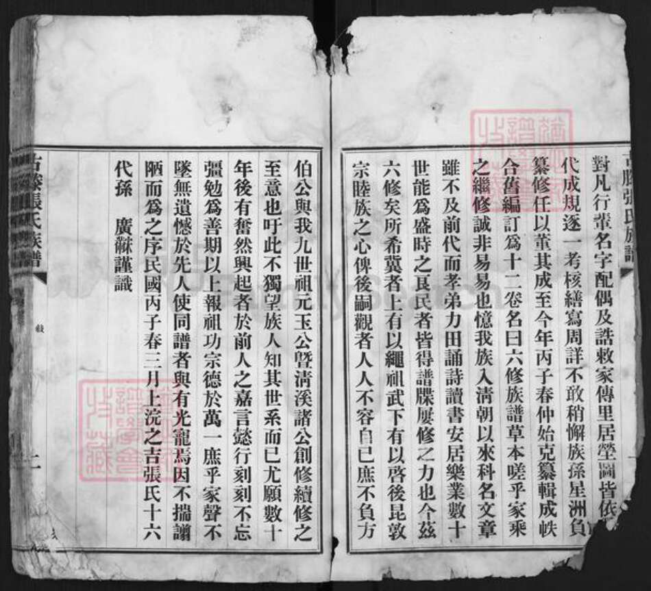 山东省枣庄市滕州市洪绪镇张氏族谱-古藤张氏族谱.pdf电子版预览图4