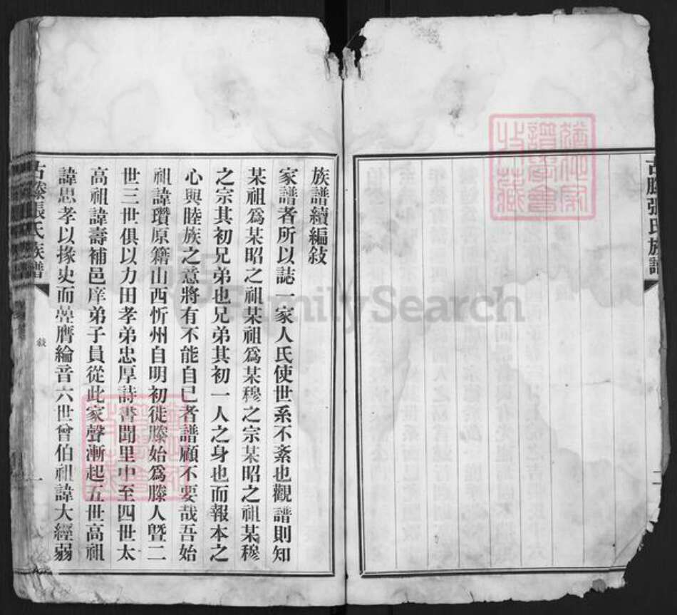 山东省枣庄市滕州市洪绪镇张氏族谱-古藤张氏族谱.pdf电子版预览图5