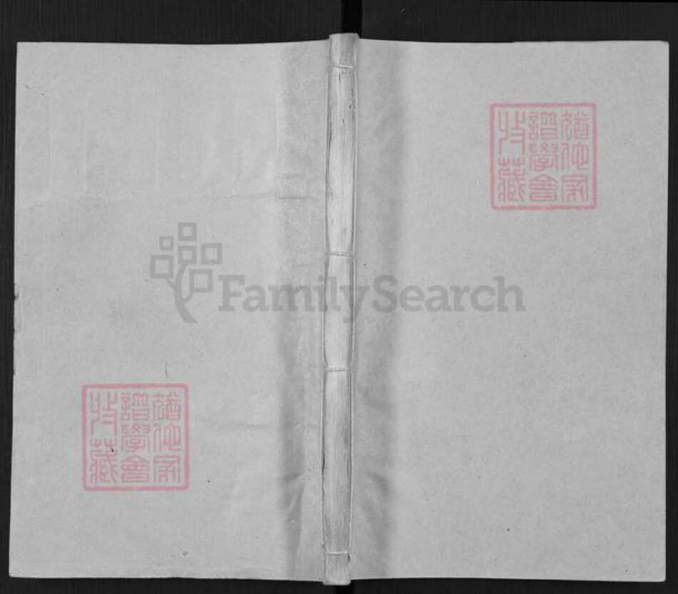 山东省泰安市东平县张氏族谱-张氏族谱.pdf电子版缩略图