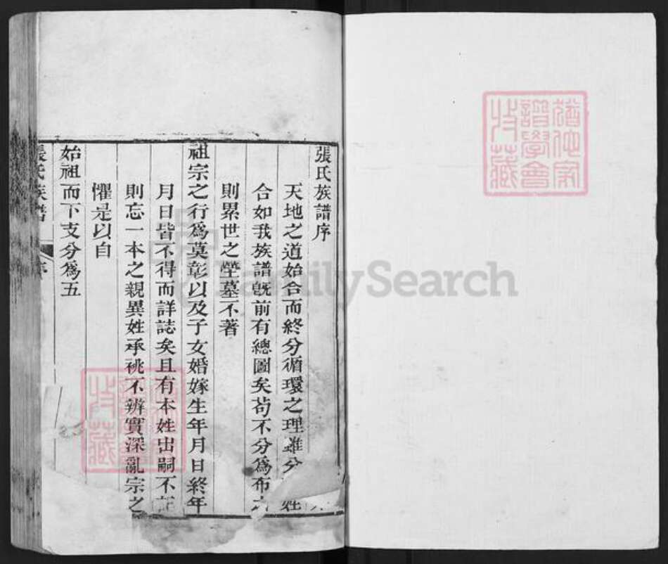 山东省泰安市东平县张氏族谱-张氏族谱.pdf电子版预览图1