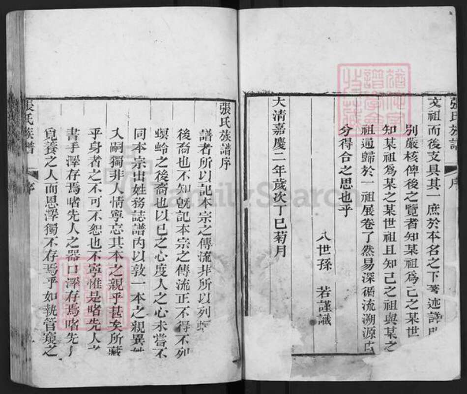 山东省泰安市东平县张氏族谱-张氏族谱.pdf电子版预览图2