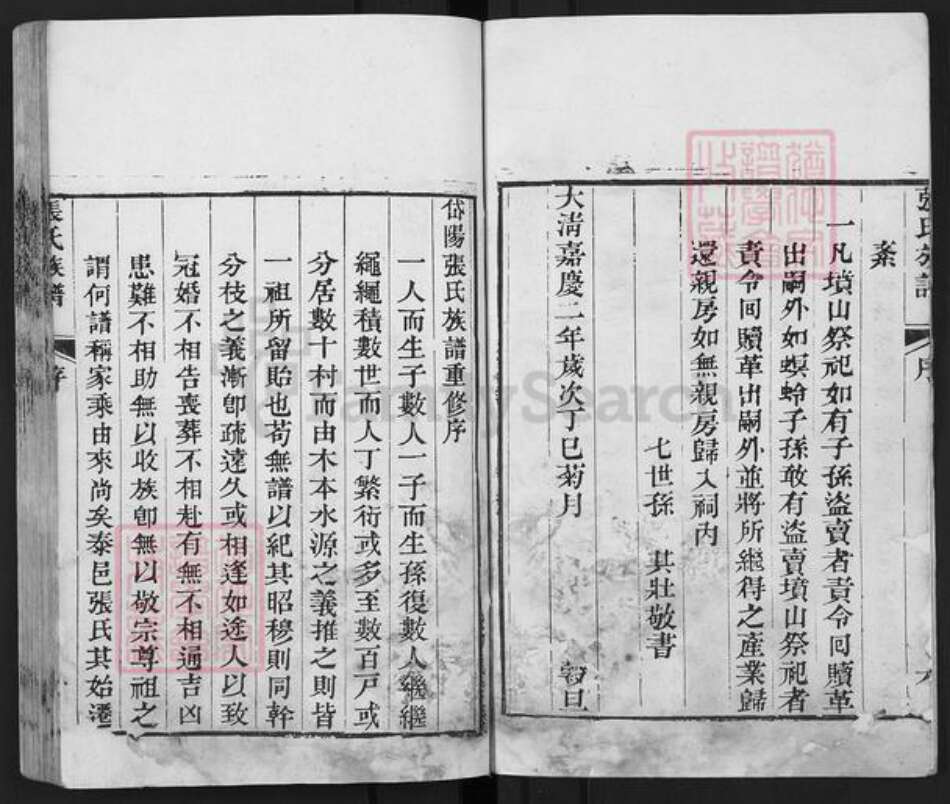 山东省泰安市东平县张氏族谱-张氏族谱.pdf电子版预览图4