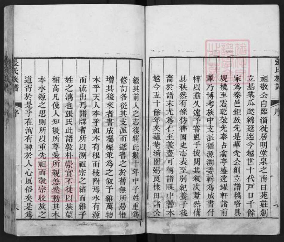 山东省泰安市东平县张氏族谱-张氏族谱.pdf电子版预览图5