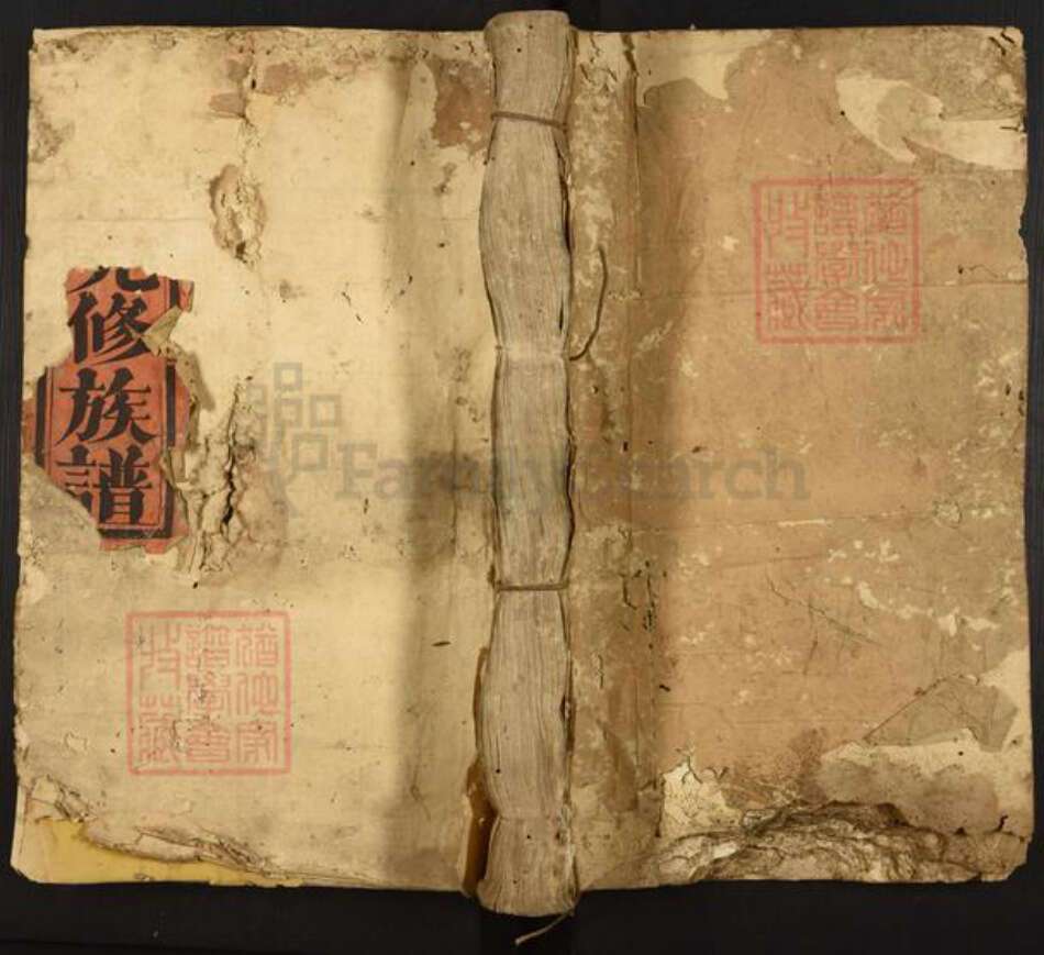 福建省漳州市漳浦县绥安镇张氏光裕堂族谱-张氏九修族谱正宗.pdf电子版缩略图